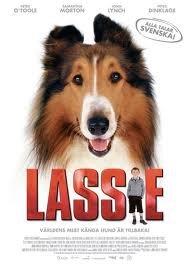 Lassie (Foto: Divulgação)